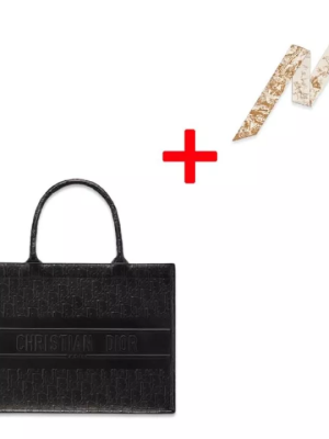 DIOR BOOK TOTE Small Bag Dior Oblique Calfskin